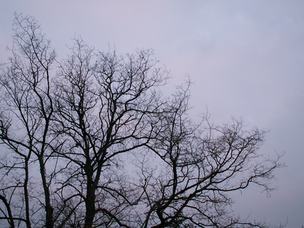 20061225 172041